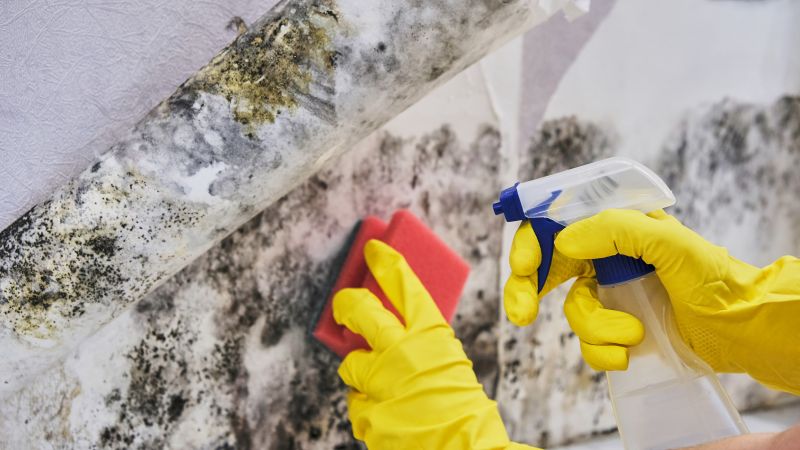Air Duct Mold Removal in Fort Lauderdale, FL