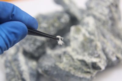 Asbestos Inspection Service in Somerset County, NJ
