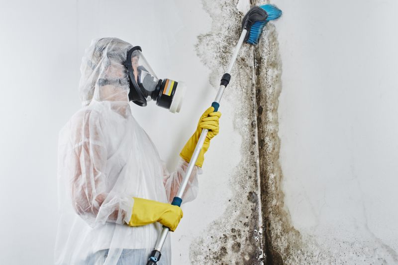 Attic Mold Remediation in Fort Worth, TX