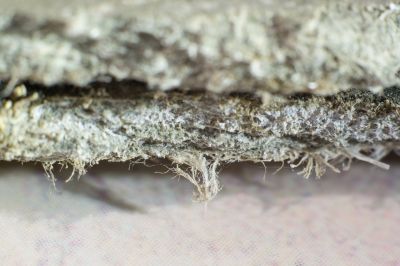 Basement Asbestos Removal in Sussex County, NJ