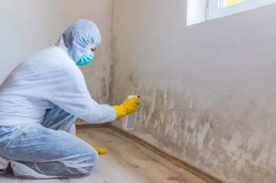 Crawlspace Mold Remediation in Frisco, TX