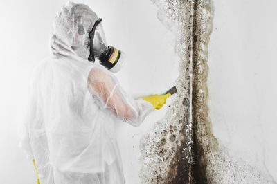 Mold Abatement Service in Dallas, TX