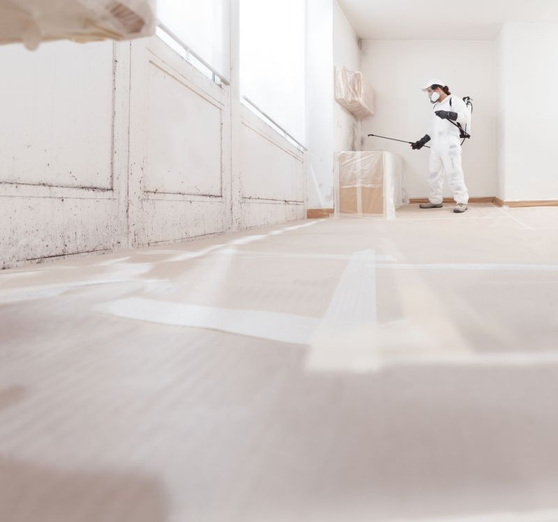 Mold Cleanup Service in Fort Worth, TX