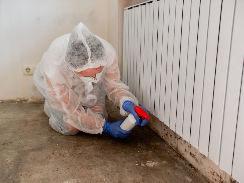 Mold Remediation Service in Essex County, NJ