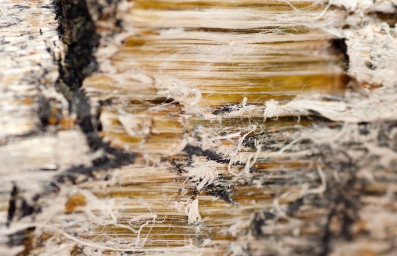 Vermiculite Removal Service