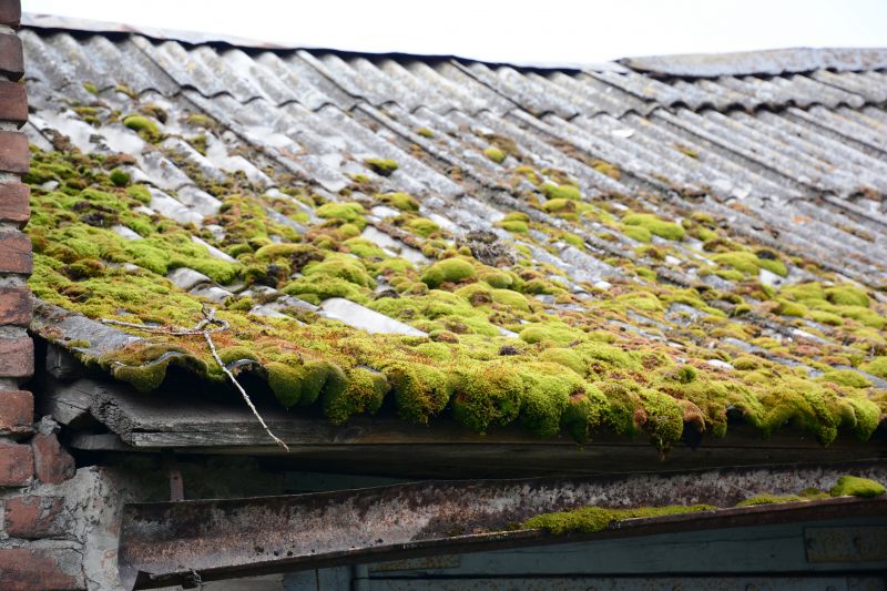 Garage Asbestos Removal in Sussex County, NJ