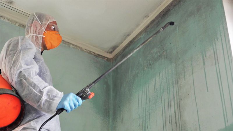 White Mold Mitigation in Jupiter, FL
