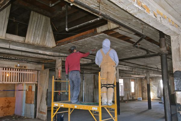 Ceiling Asbestos Detection