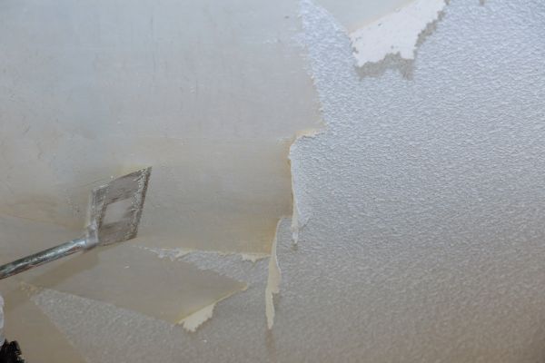 Asbestos Ceiling Abatement - Asbestos Ceiling Abatement Kailua Kona, Hawaii