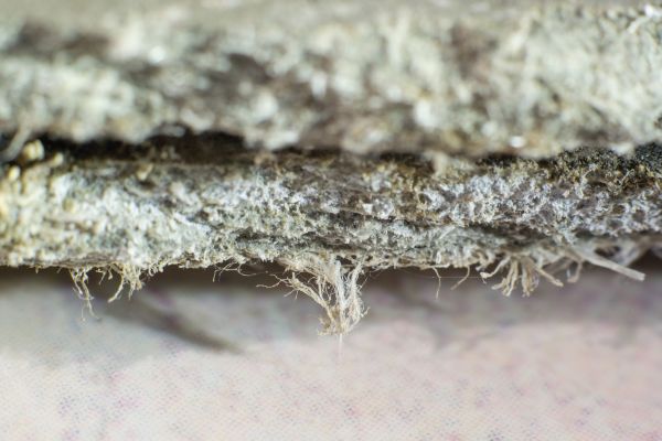 Basement Asbestos Elimination