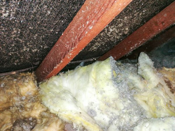 Basement Asbestos Abatement - Basement Asbestos Abatement West Chester, Pennsylvania